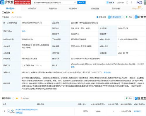 武漢存算一體產(chǎn)業(yè)園區(qū)建設(shè)公司成立，加速區(qū)域數(shù)字經(jīng)濟(jì)發(fā)展